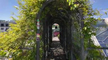 Polonya 'daki Varşova Üniversitesi Çatı Bahçesinde Yürüyüş