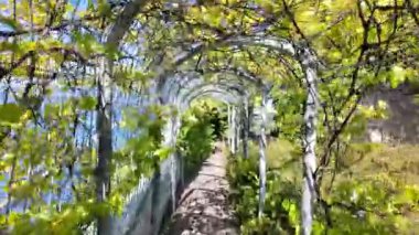 Polonya 'daki Varşova Üniversitesi Çatı Bahçesinde Yürüyüş