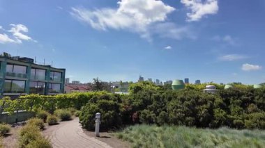 Polonya 'daki Varşova Üniversitesi Çatı Bahçesinde Yürüyüş