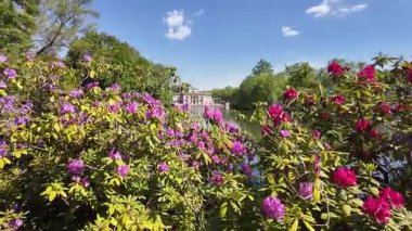 Polonya, Varşova 'daki Azienki Parkı' ndan yüksel.