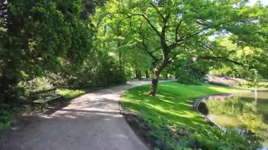 Polonya, Varşova 'daki Azienki Parkı' nda yürüyorum.