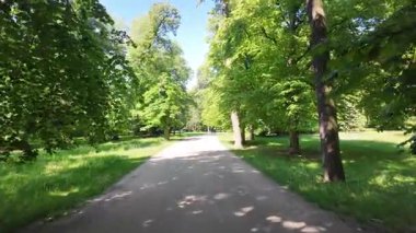 Polonya, Varşova 'daki Azienki Parkı' nda yürüyorum.