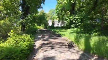 Polonya, Varşova 'daki Azienki Parkı' nda yürüyorum.