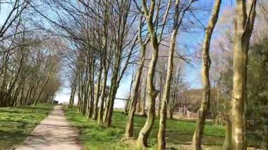 Güneşli bir sonbahar gününde Friesland 'da bisiklet sürmek