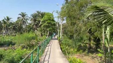 Bangkok, Tayland 'da Bang Kachao' da bisiklet sürmek