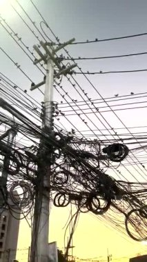 Chiang Mai, Tayland 'da günbatımında elektrik direğinde bir kuş.