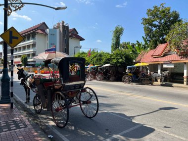 Lampang Tayland 'da at ve at arabası