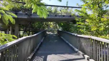 Bangkok, Tayland 'daki Benchakitti Orman Parkı' nda yürüyorum.