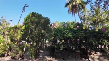 Lampang, Tayland 'da Wat Si Rongmuang' da stupa ile bahçede yürüyüş.