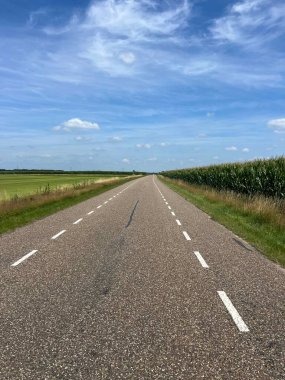 Hollanda, Drenthe 'de Dalen' de bisiklet sürmek