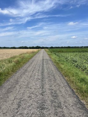 Hollanda, Drenthe 'de Sleen' de bisiklet sürmek