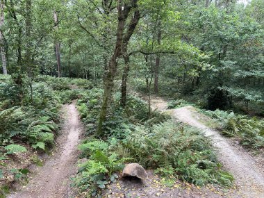 Hollanda Drenthe 'de Noord-Sleen' in MTB kaydı