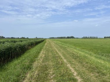 Hollanda Friesland 'daki Achlum' un etrafındaki Slachtedyk.