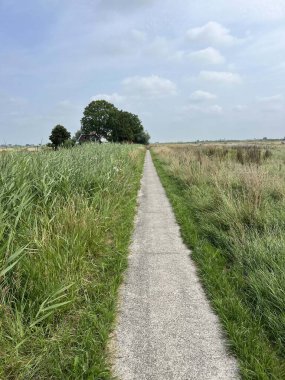 Hollanda, Friesland 'daki Parrega çevresindeki tarlalardan geçen yol.