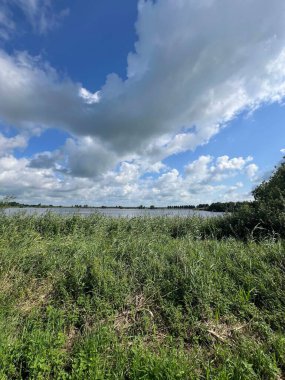 Hollanda, Friesland 'daki Joure Gölü' nün etrafında.