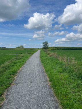 Friesland, Hollanda 'daki Sondel civarında bisiklet yolu.