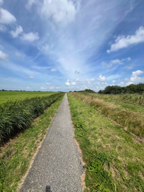 Friesland, Hollanda 'daki Slotermeer çevresinde bisiklet yolu