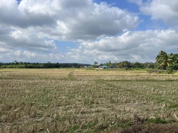 Tayland 'da Ban Sai Mun çevresindeki tarım arazileri.