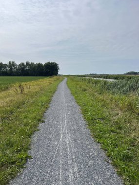 Hollanda, Friesland 'daki Berltsum çevresinde çakıl yolu.