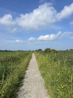 Hollanda Friesland 'da Langweer' in etrafındaki çakıl yolu.