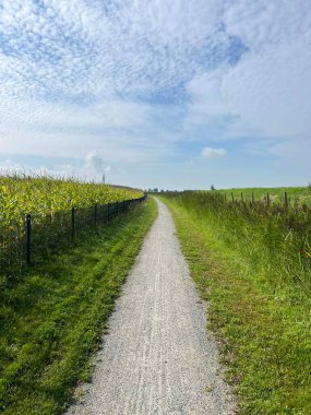 Hollanda, Friesland 'da Teroele' nin etrafındaki çakıl yolu.