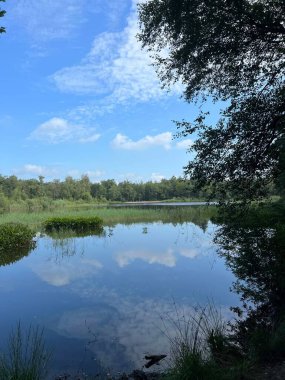 Hollanda, Friesland, Sint Nicolaasga 'daki Lake and Forest.