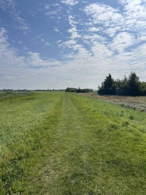 Hollanda, Friesland 'da Rohel' in çevresindeki çim yolu.