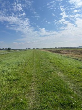 Hollanda, Friesland 'da Rohel' in çevresindeki çim yolu.