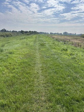 Hollanda, Friesland 'da Rohel' in çevresindeki çim yolu.