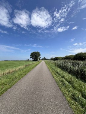 Hollanda Friesland 'da Delfstrahuizen' de bisiklet sürmek