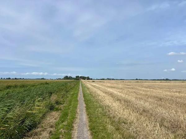 Hollanda, Friesland 'da Boer' in etrafındaki yol