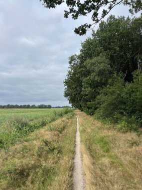 Hollanda, Drenthe 'de Wezup' ta MTB pisti var.