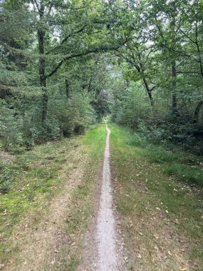 Hollanda Drenthe 'de Noord-Sleen' in MTB kaydı