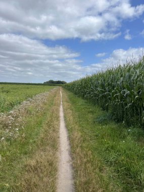 Hollanda Drenthe 'de Exloo çevresinde MTB hattı