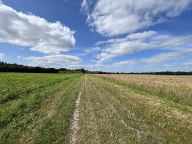 Path around Valthe in Drenthe the Netherlands