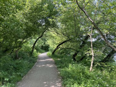 Polonya, Varşova çevresindeki Vistula nehri boyunca bisiklet sürüyor.