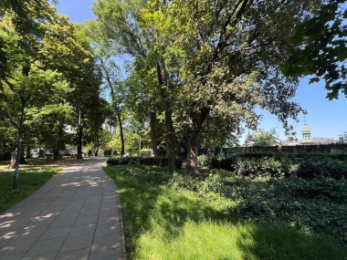 Agnieszka 'nın Varşova, Polonya' daki İçki Parkı