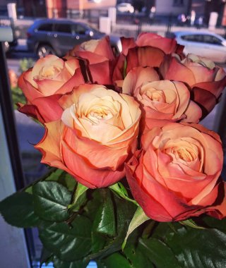 Pencerede koyu pembe gül demeti var.