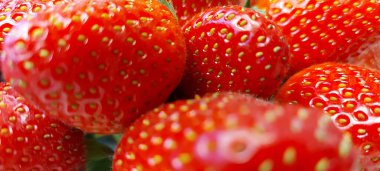 Bir sürü olgun kırmızı büyük çileğin arka planı