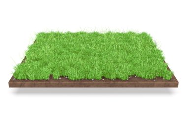 3D izole doğal çime arka plan.