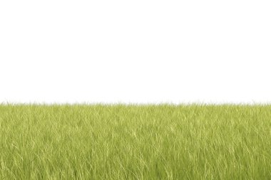 3D izole doğal çime arka plan.