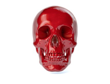 3D izole insan kafatası.