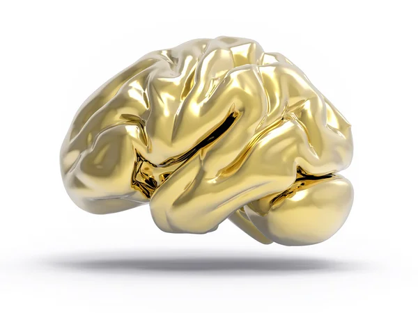 Illustrazione cerebrale 3D isolata — Foto Stock