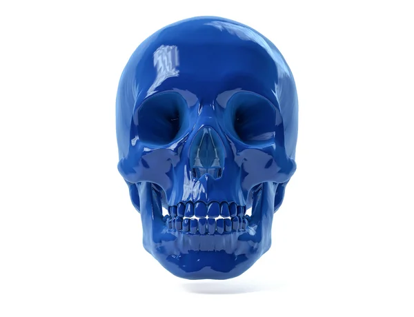 3D izole insan kafatası.