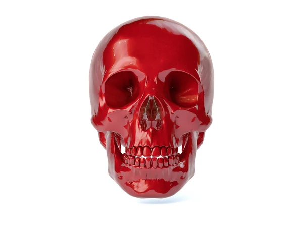 3D izole insan kafatası.