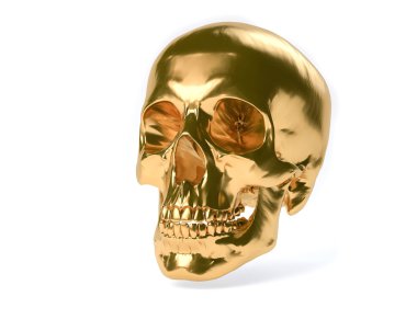 3D izole insan kafatası.