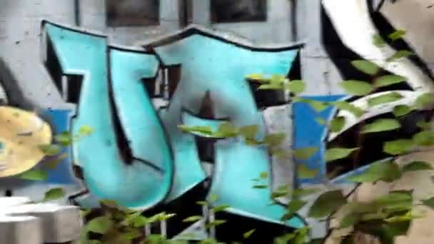 Bronx-Graffiti — Stockvideo