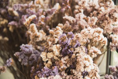 kesici çiçek antika arka plan