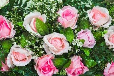 fond rose fleurs roses