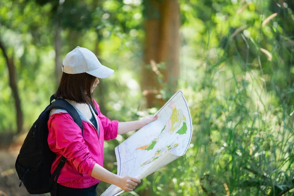 traveller hiking, women reading map and travel in the forest